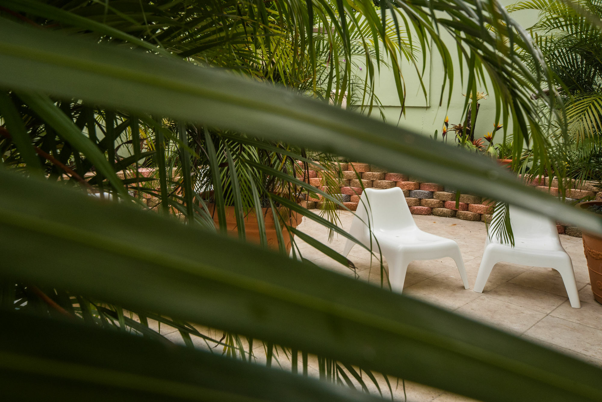 Rincon Plaza Hotel 外观 照片